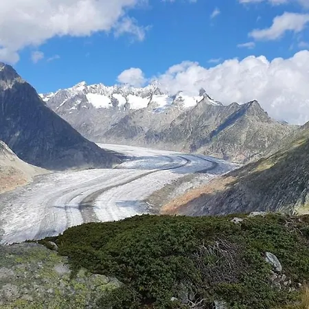 Апартаменты Lorli